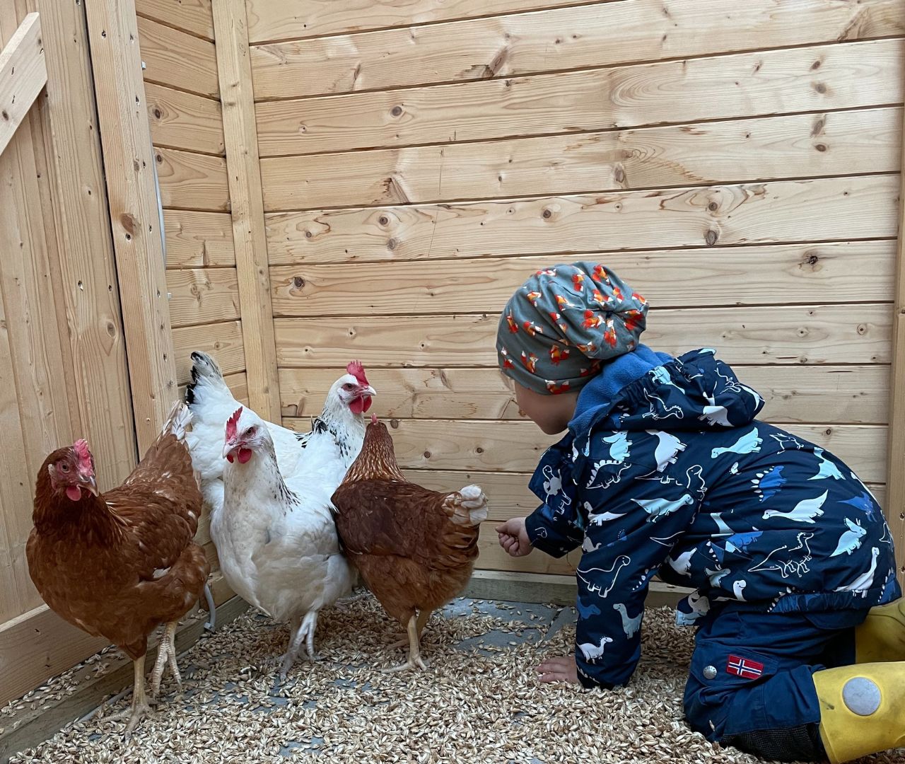Bauernhofurlaub Ostsee für Familien – Meine Favoriten