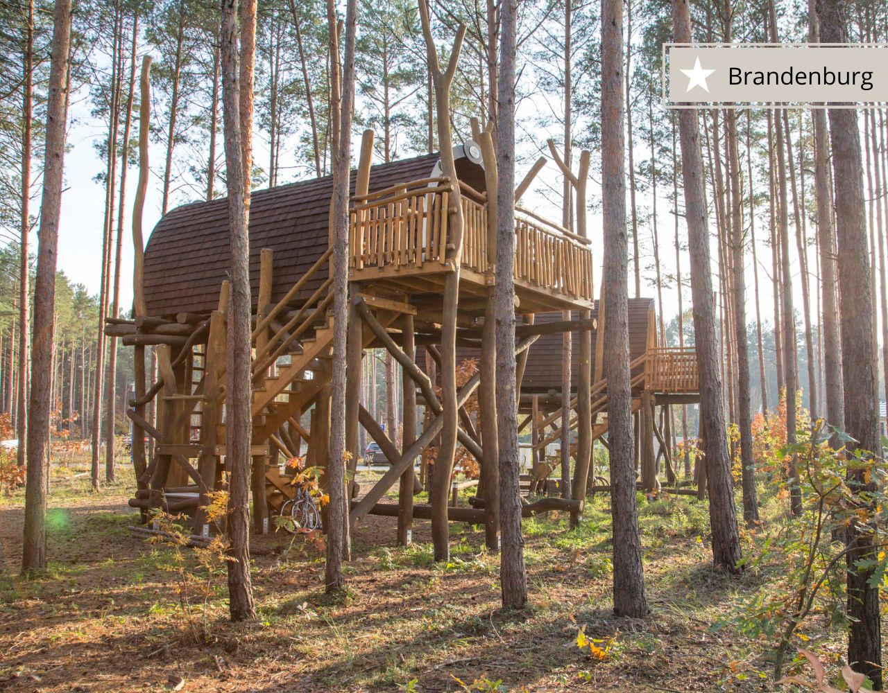 12 Top-Baumhaushotels in Ostdeutschland
