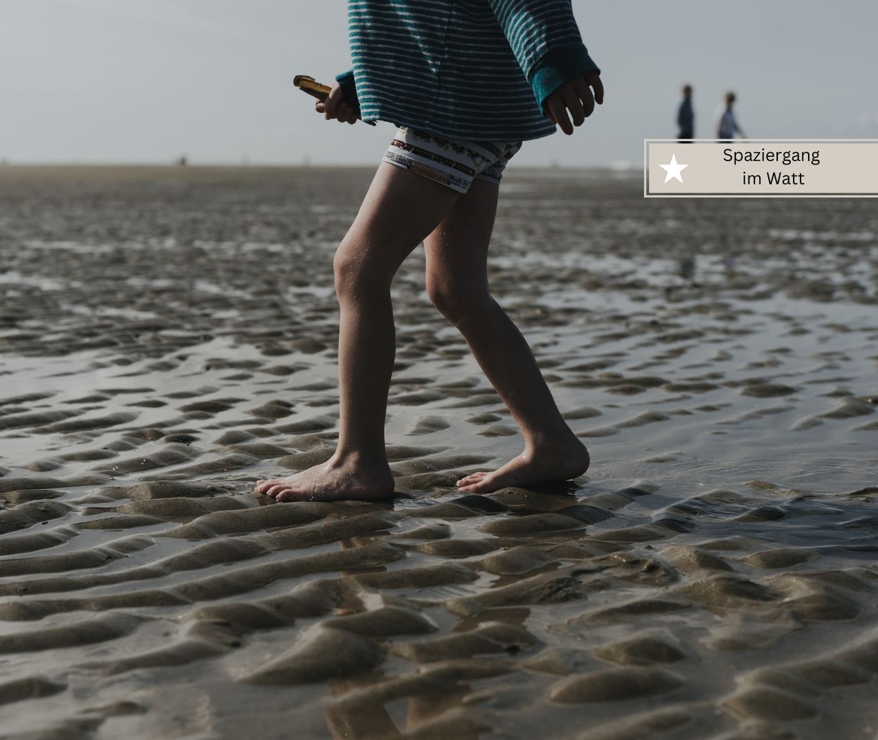 Sylt mit Kindern – 21 Ausflüge und Aktivitäten